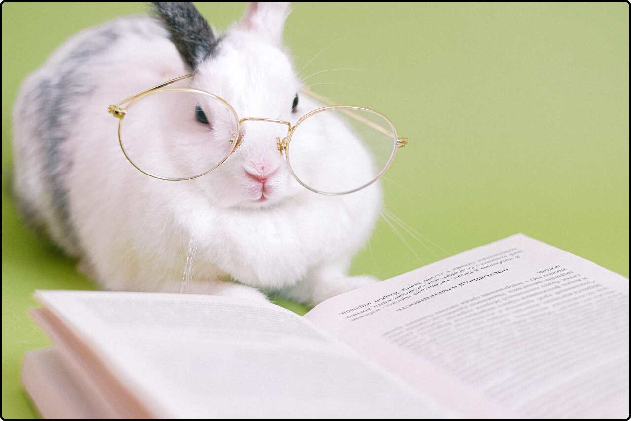 Adorable Cute rabbit wearing eyeglasses, reading a book.